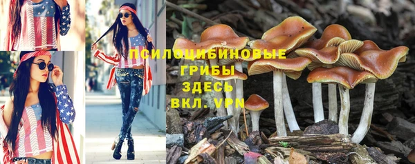 ешки Балахна