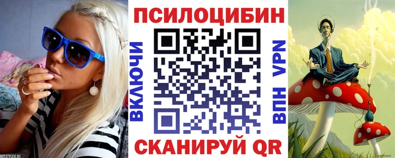Галлюциногенные грибы GOLDEN TEACHER  купить наркотик  Петровск-Забайкальский 